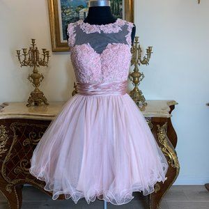Sweet 16 short embroidery lace Illusion homecoming prom dress